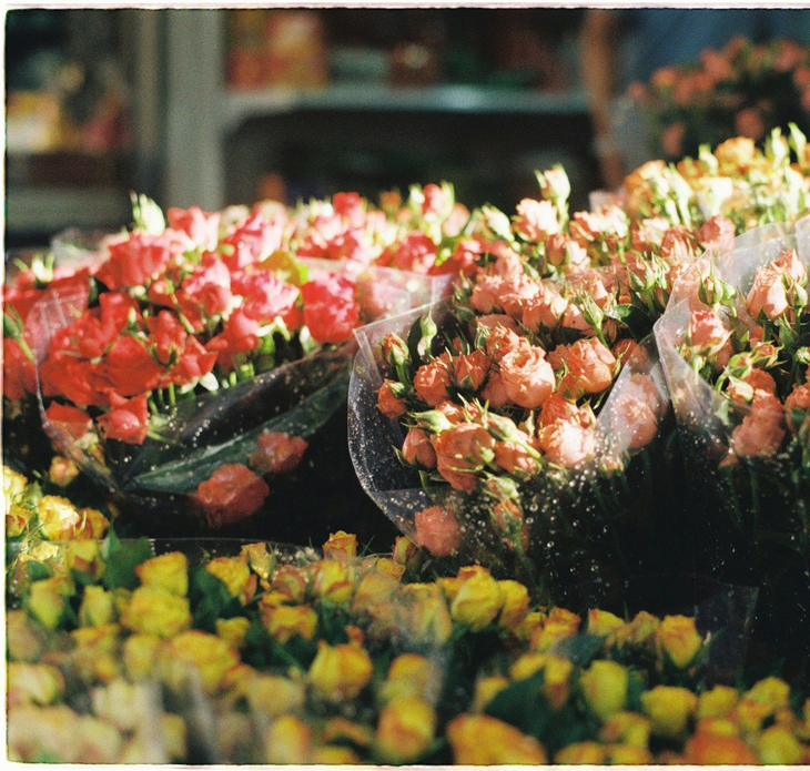 Hanoi-Flower-Market-easytrip247