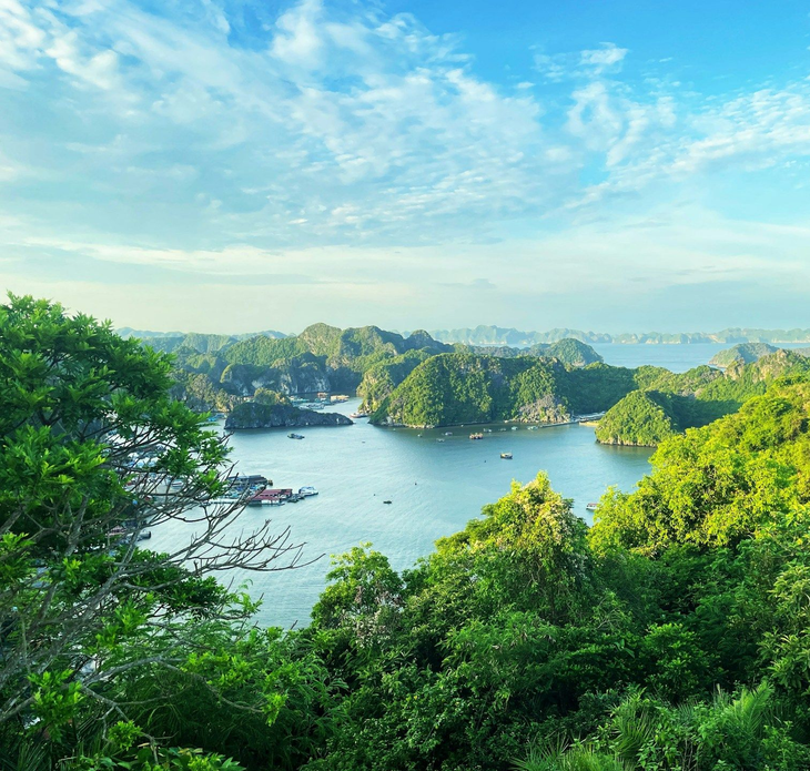 Lan-Ha-Bay-easytrip247