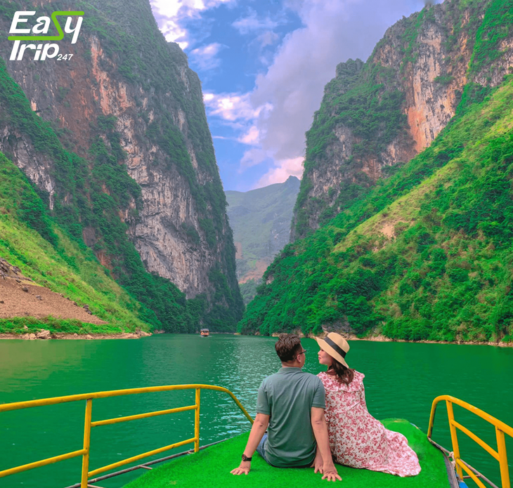 Easytrip247