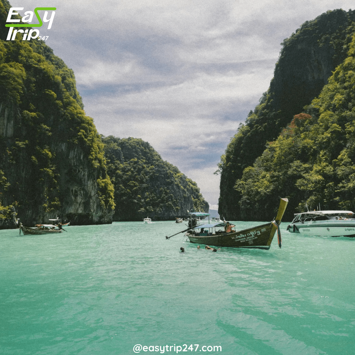 A-Beginner's-Guide-to-Vietnam-What-You-Need-to-Know-for-an-Easy-Tour-Experience-2