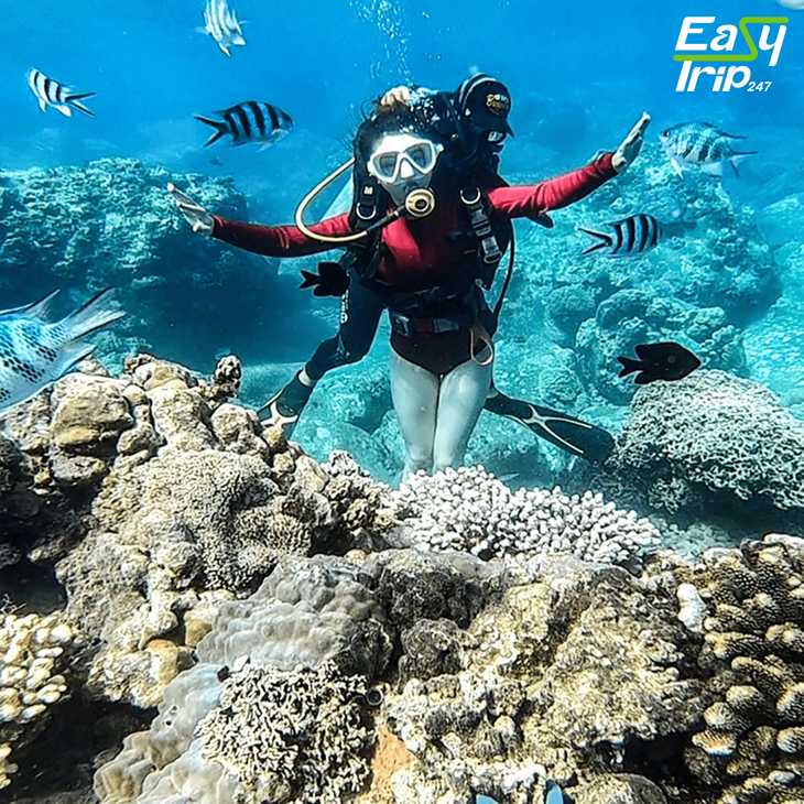 Best-Easy-Trip-Destinations-For-Scuba-Diving-In-Vietnam-2