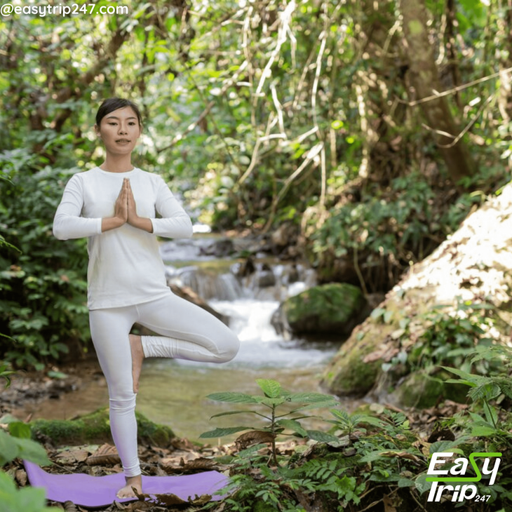 Best-Easy-Trip-Wellness-Retreat-Destinations-In-Vietnam-2