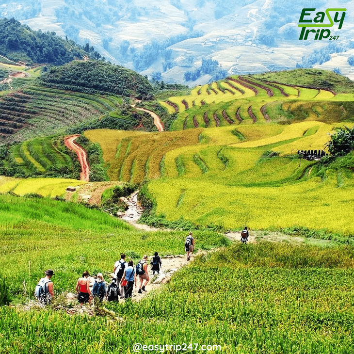 Best-Seasons-for-Trekking-in-Vietnam-Your-Ultimate-Guide-to-Exploring-the-Countryside-2
