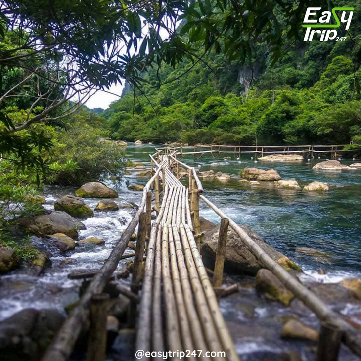 Best-Time-to-Visit-Vietnam’s-National-Parks-A-Journey-Into-Wild-Beauty-2