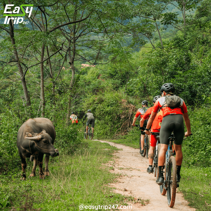 Best-Vietnam-Easy-Tour-Packages-with-Flights-The-Ultimate-Stress-Free-Adventure-2