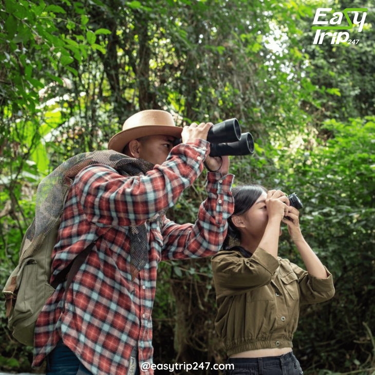 Best-Easy-Trip-Destinations-For-Bird-Watching-2