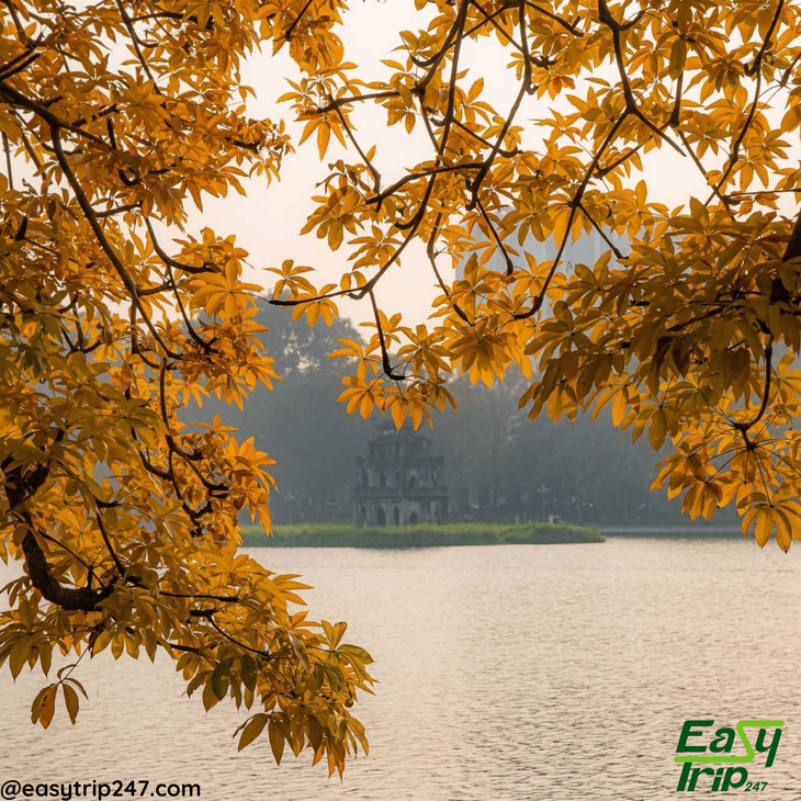Easy-Trip-Destinations-For-Fall-Foliage-In-Vietnam-2