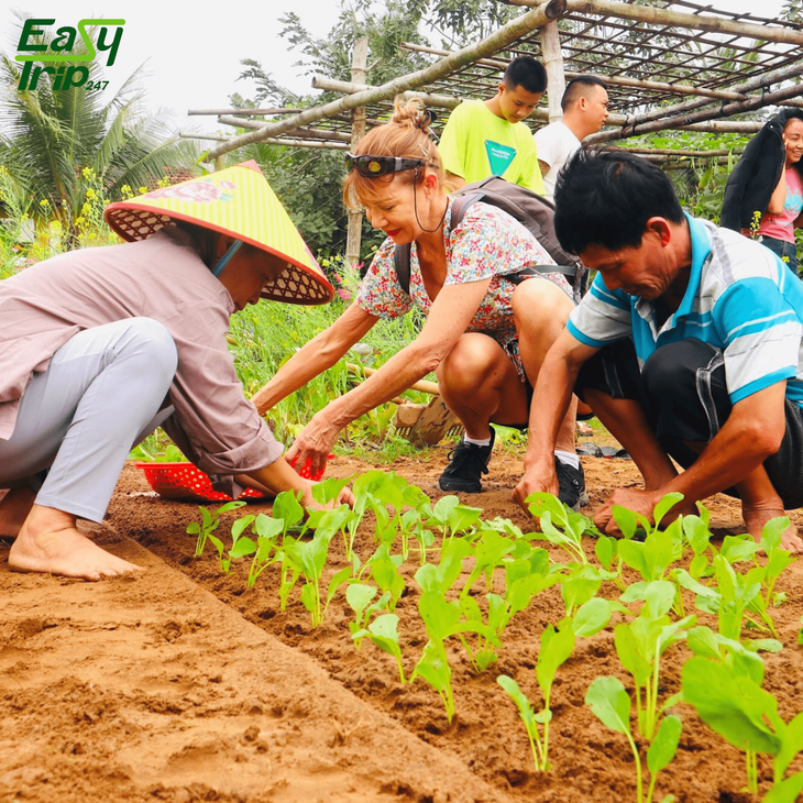 Easy-Trip-Ideas-For-Garden-Enthusiasts-In-Vietnam-2