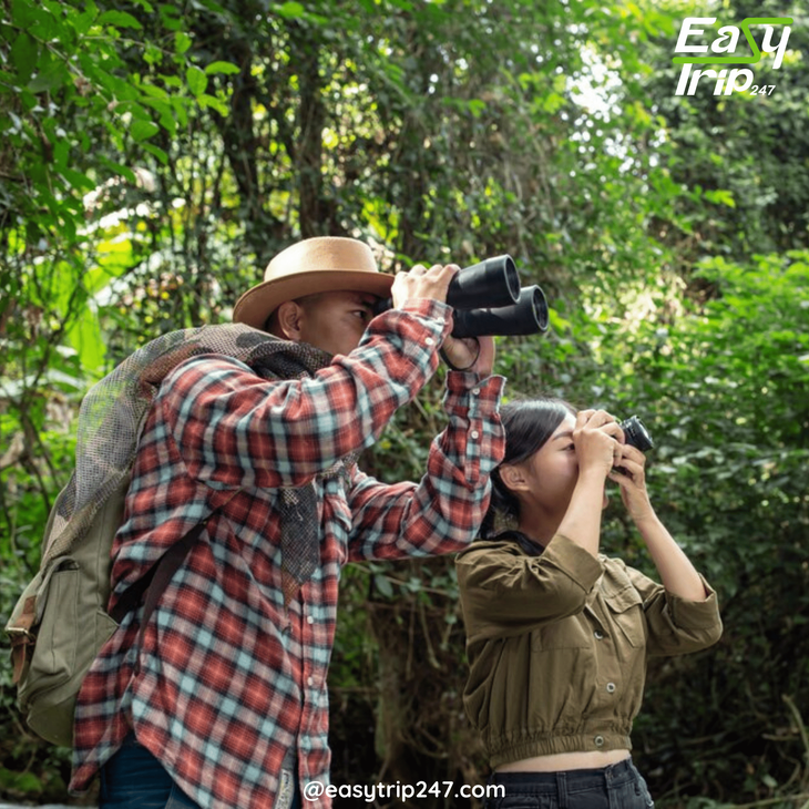 Easy-Trip-Ideas-For-Nature-Lovers-On-A-Budget-In-Vietnam-2
