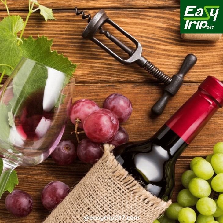 Easy-Trip-Guide-Wine-Tour-Planning-2