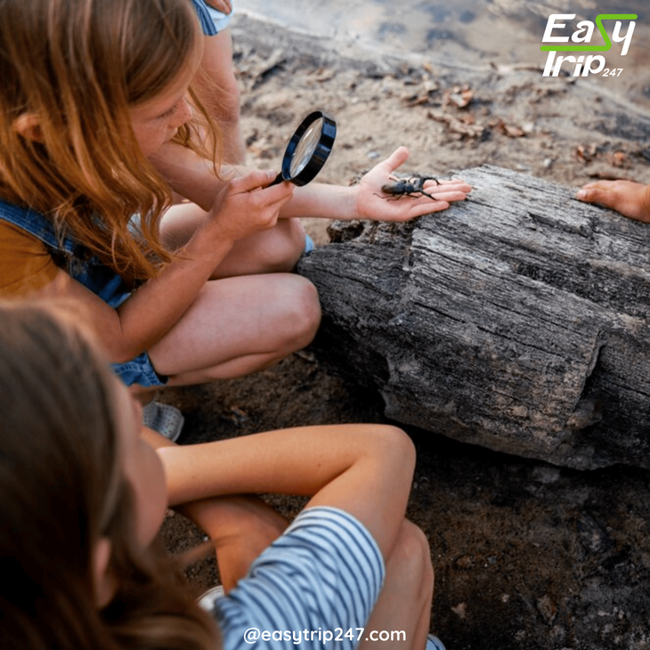 Easy-Trip-Ideas-For-Archaeology-Buffs-2