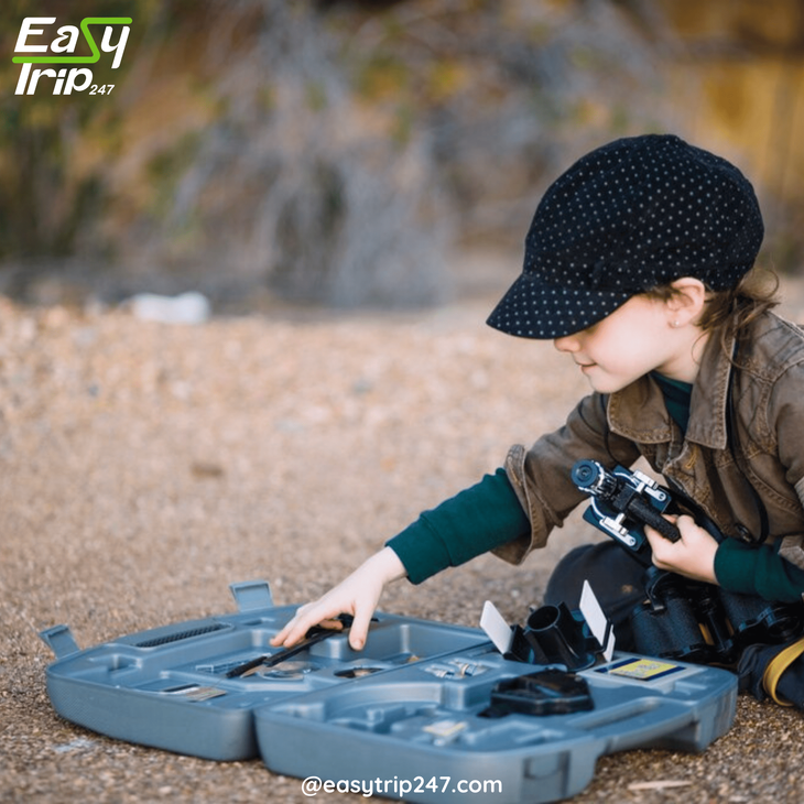 Easy-Trip-Ideas-For-Fossil-Hunting-Discover-Ancient-Treasures-With-Minimal-Effort-2