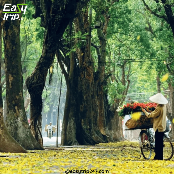Eco-Friendly-Path-Green-Walking-Tour-Guide-In-Hanoi-2