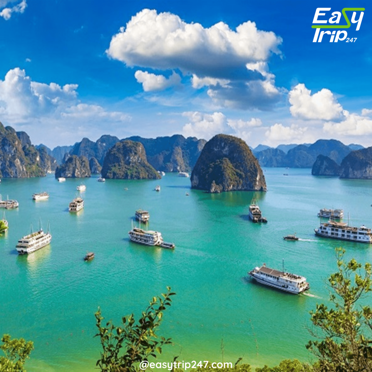 Fun-Family-Vacation-Activities-That-Everyone-Will-Enjoy-Exploring-Vietnam-Together-2