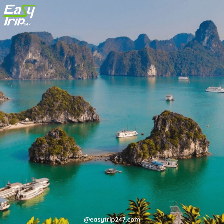 Halong-Bay-Timing-Your-Visit-for-the-Best-Experience-2