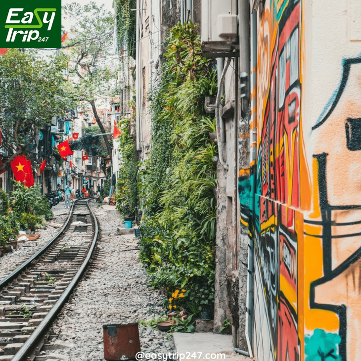 Hanoi's-Street-Art-Scene-The-Most-Colorful-Walking-Tour-You'll-Ever-Take-2