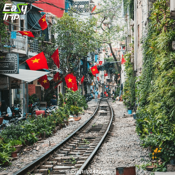 History-Buffs'-Dream-Easy-Tours-That-Bring-the-Past-to-Life-In-Vietnam-2