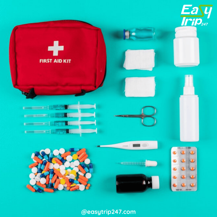 How-To-Create-An-Easy-Trip-Emergency-Kit-2