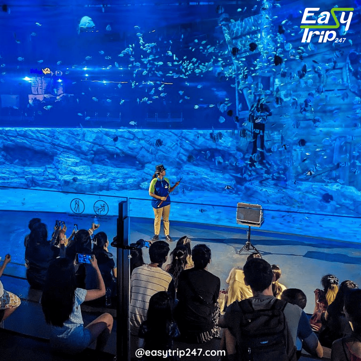 How-To-Plan-An-Easy-Trip-To-Aquariums-2