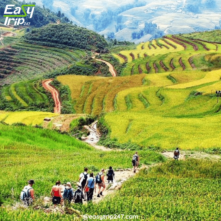 Ideal-Months-for-Trekking-in-Sapa-Vietnam-2