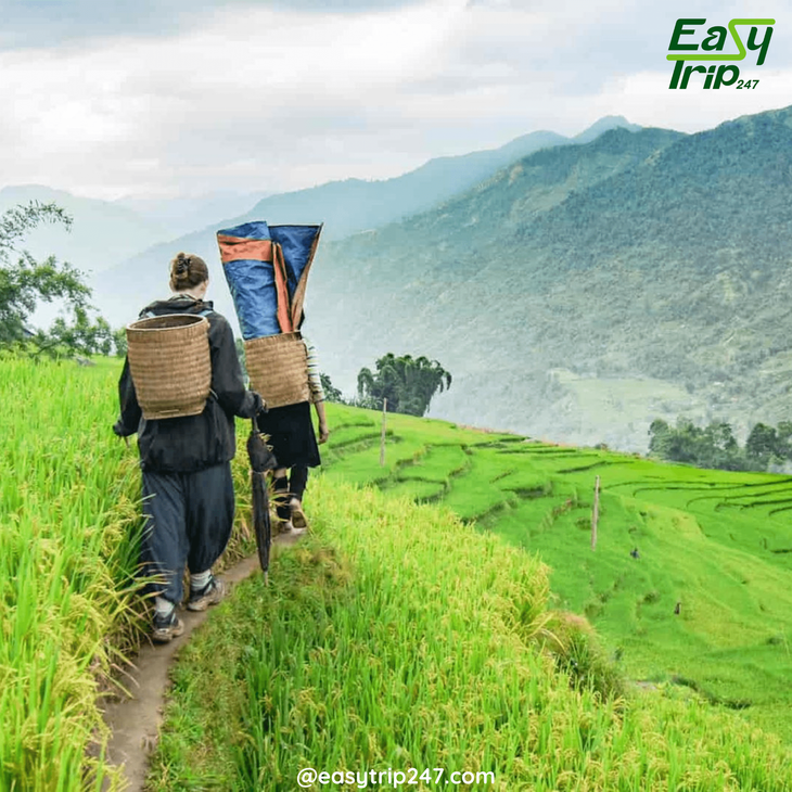 Ideal-Months-for-Trekking-in-Vietnam-2