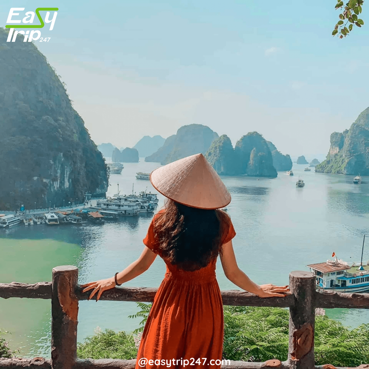 Luxury-on-a-Budget-Easy-Tours-In-Vietnam-That-Feel-Like-First-Class-Adventures-2