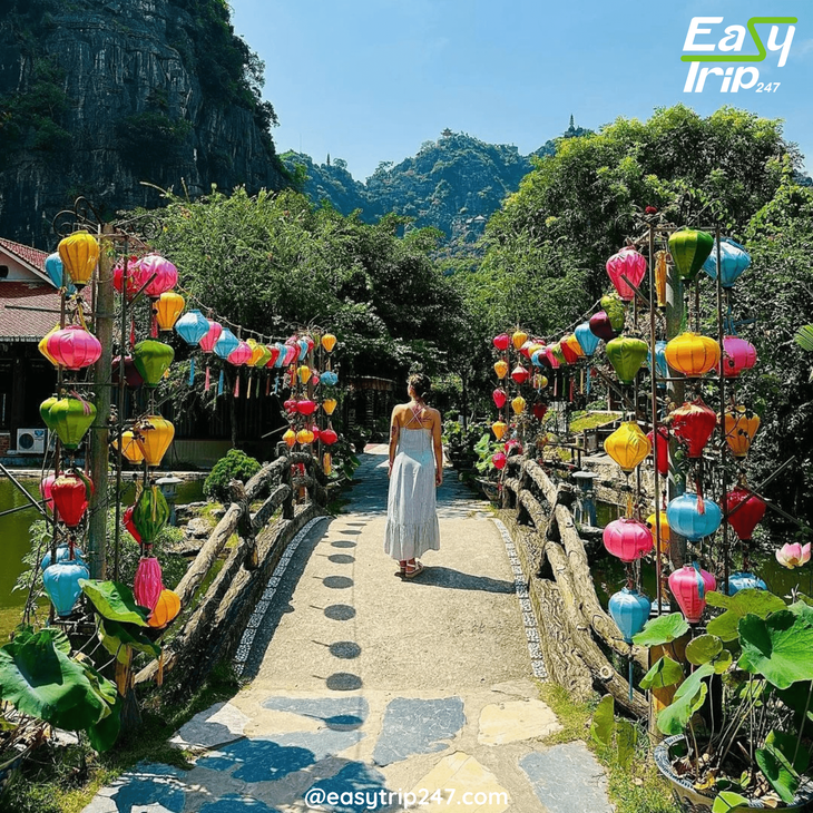 Spring-into-Vietnam-A-Season-of-Festivals-and-Mild-Weather-2