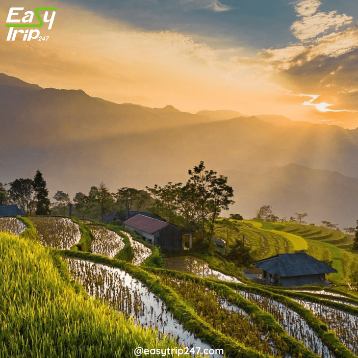 Vietnam’s-Shoulder-Season-The-Best-of-Both-Worlds-2