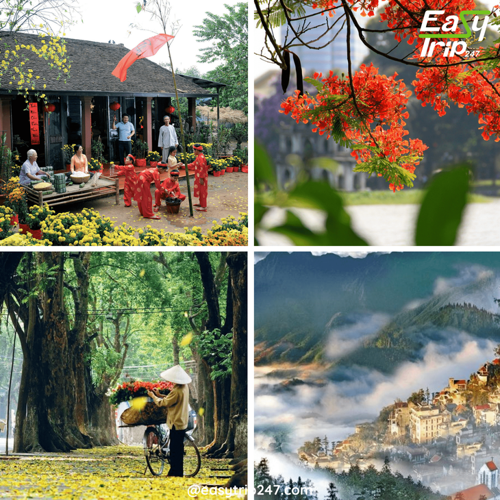 What-is-the-Weather-Like-in-Vietnam-Throughout-the-Year-2