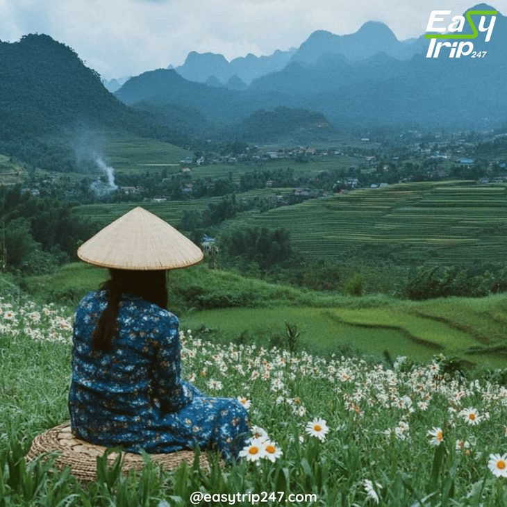 When-to-Plan-Your-Vietnam-Trip-A-Month-by-Month-Guide-2