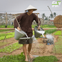Easy-Trip-Ideas-For-Garden-Enthusiasts-In-Vietnam-1