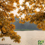 Easy-Trip-Destinations-For-Fall-Foliage-1