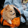 Easy-Trip-Solutions-For-Pet-Travel-1