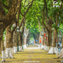 Foliage-&-Parks-Green-Spaces-Walking-Tour-In-Hanoi-1