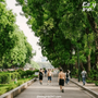 Hanoi's-Green-Spaces-A-Refreshing-Walking-Tour-Of-Parks-And-Gardens-1