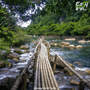 National-Parks-in-Vietnam-That-Will-Wow-Your-Whole-Family-1