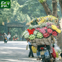 The-Ultimate-Guide-to-Choosing-the-Best-Season-for-a-Walking-Tour-in-Hanoi-1