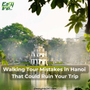 Walking-Tour-Mistakes-In-Hanoi-That-Could-Ruin-Your-Trip-(And-How-To-Avoid-Them)-1