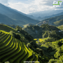 When-to-See-Rice-Terraces-in-Vietnam-1