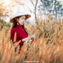Easy-Trip-Destinations-For-Fall-Foliage-In-Vietnam-1