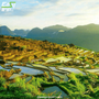 Family-Friendly-Destinations-Hidden-Gems-in-Vietnam-1