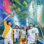 How-To-Plan-An-Easy-Trip-To-Aquariums-1