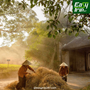 Local-Life-Walking-Tour-Through-Hanoi's-Villages-1