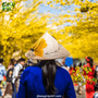 Tet-Holiday-in-Vietnam-Should-You-Visit-During-New-Year-1