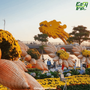 Easytrip247