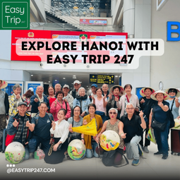 Easytrip247