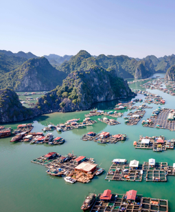 hanoi-catba-ninhbinh-easytrip247