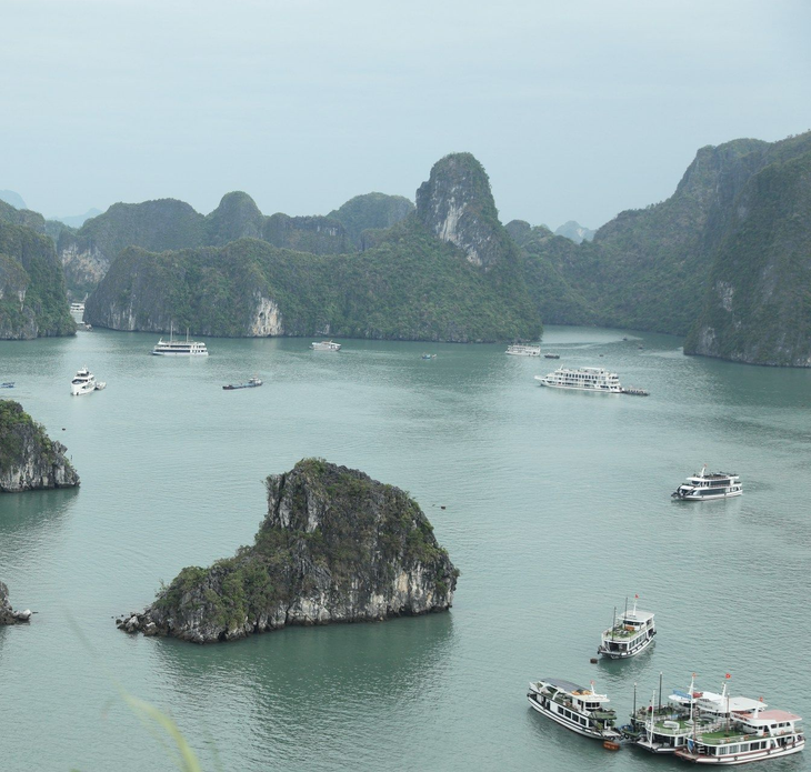 halong-catba-easytrip247